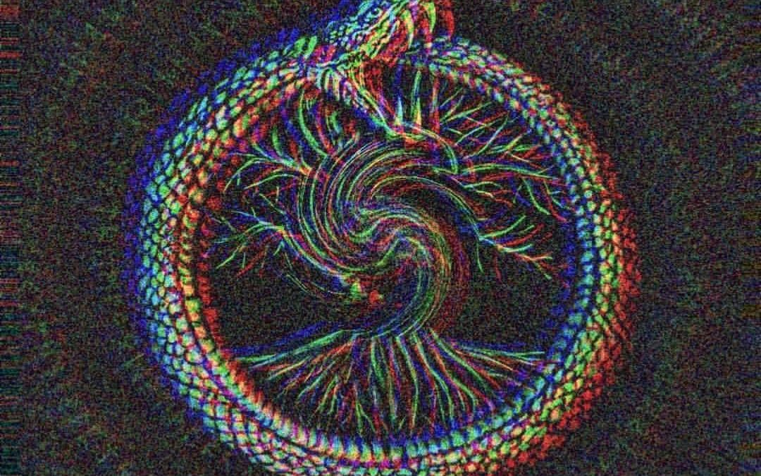jeremiahrtz – Metamorphosis