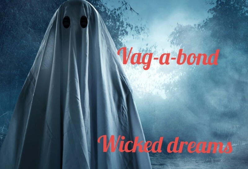Vag-a-bond – Wicked dreams
