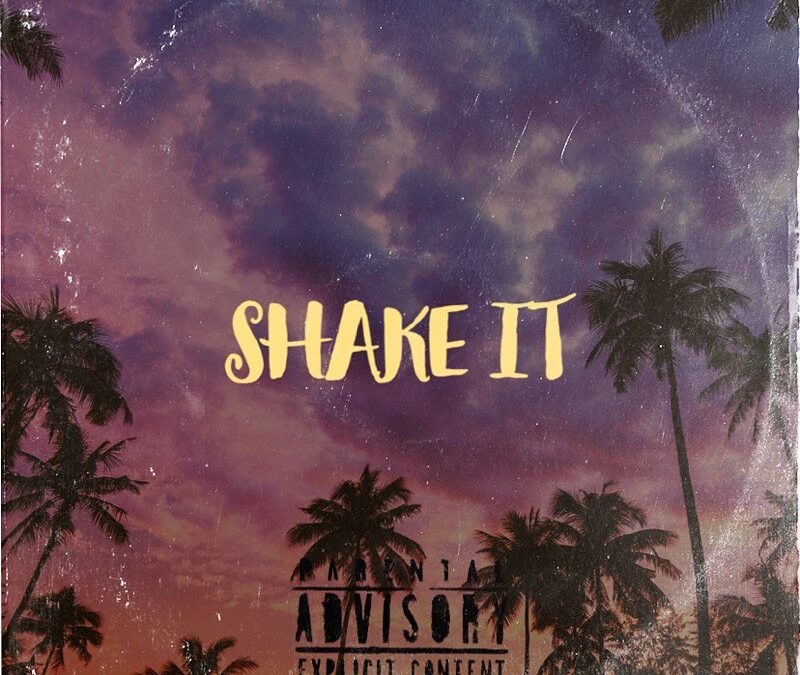 CFN Quan – Shake It