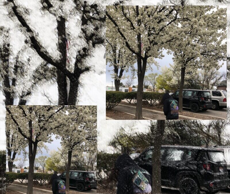 lil jay – jaysxwavy