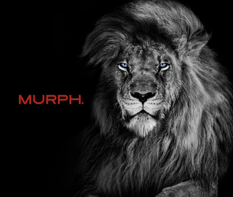 Murph – Roar