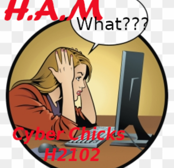 H.A.M (Hustle And Motivate) – Cyber Chicks H2102