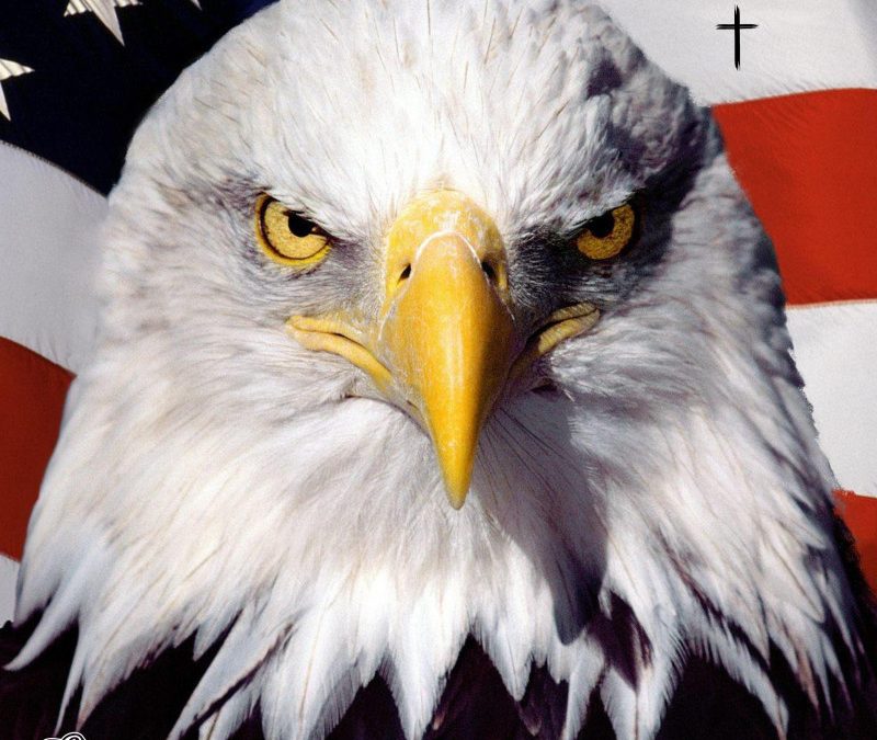 Stoney Dudebro – MAGA RAP – EP