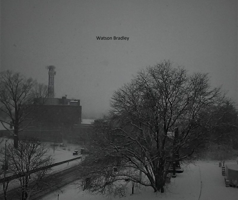 Watson Bradley – Bells II