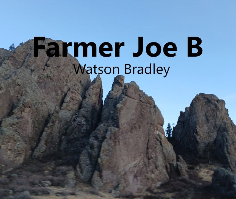 Watson Bradley – Farmer Joe B.