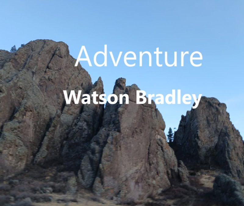 Watson Bradley – Adventure