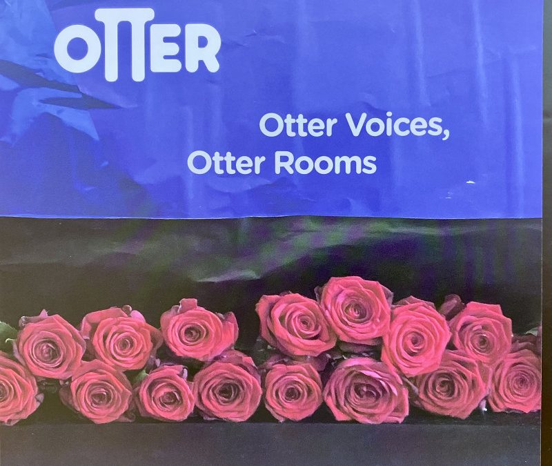 OTTER – ‘Otter Voices, Otter Rooms’